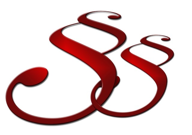 lawyer-attorney-law-judge-640x480-98146874.jpeg